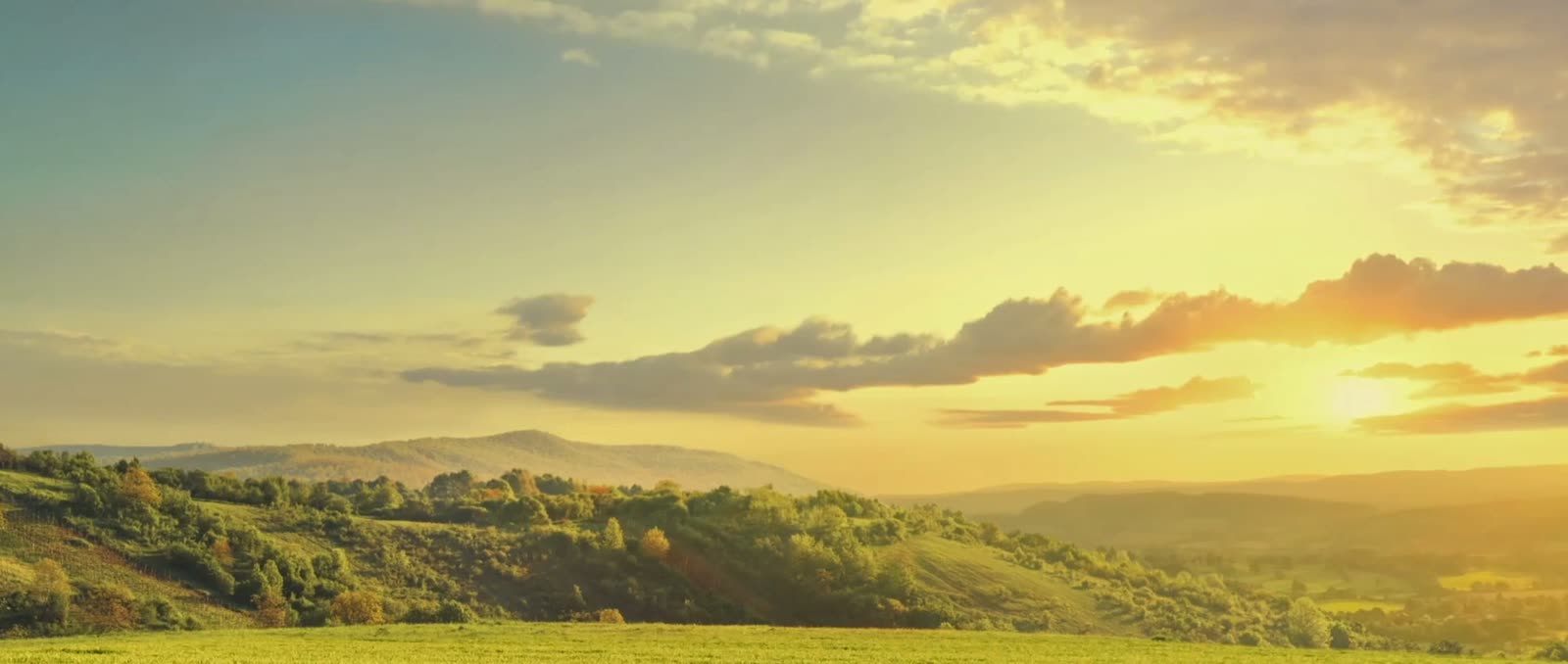 Viddana — full-frame matte painting